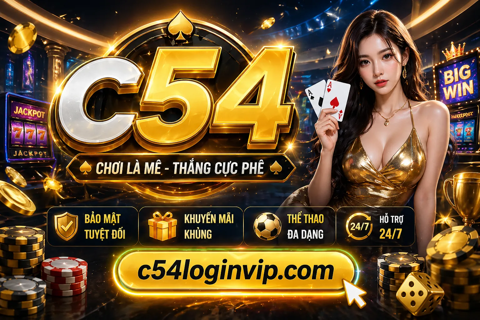Hỗ trợ từ các tổ chức chuyên nghiệp