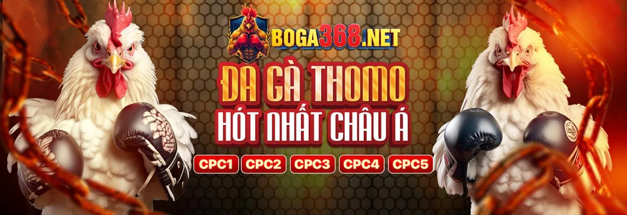 Đa dạng các loại hình cá cược tại i5bet