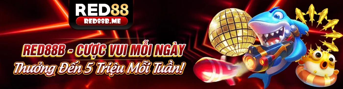 Khuyến mãi i5bet 2026 – Ưu đãi độc quyền